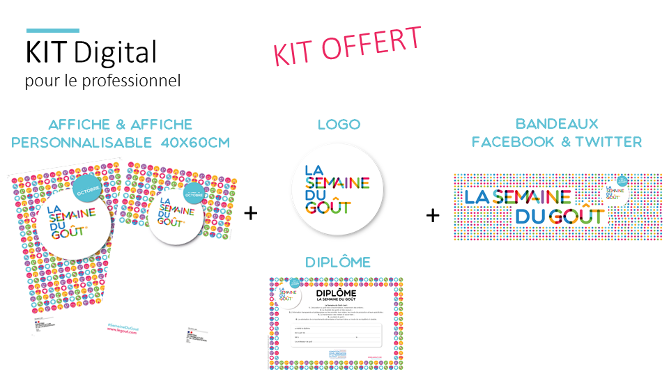 Kit digital professionnel